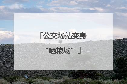公交场站变身“晒粮场”