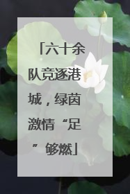 六十余队竞逐港城，绿茵激情“足”够燃