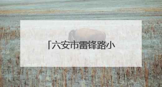 六安市雷锋路小学成功举办第十五届校园文化艺术节展演活动