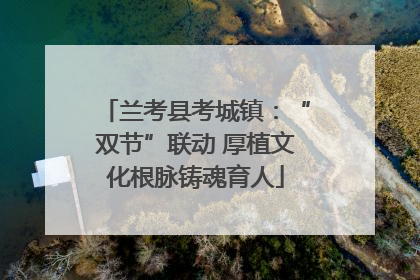 兰考县考城镇：“双节”联动 厚植文化根脉铸魂育人
