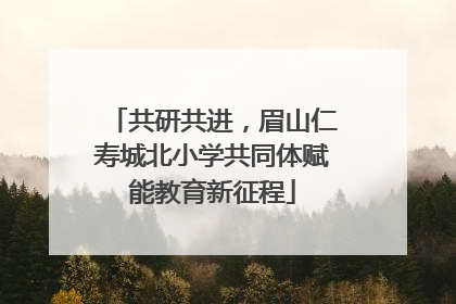 共研共进，眉山仁寿城北小学共同体赋能教育新征程