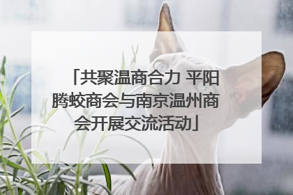 共聚温商合力 平阳腾蛟商会与南京温州商会开展交流活动