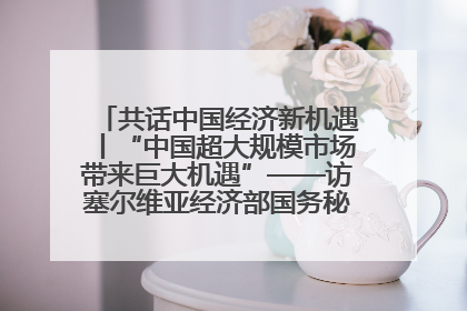 共话中国经济新机遇丨“中国超大规模市场带来巨大机遇”——访塞尔维亚经济部国务秘书尼科利奇