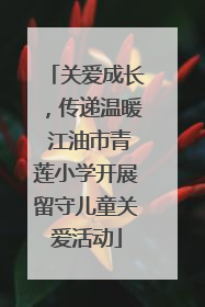 关爱成长，传递温暖 江油市青莲小学开展留守儿童关爱活动