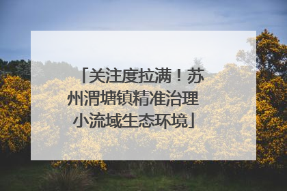 关注度拉满！苏州渭塘镇精准治理小流域生态环境