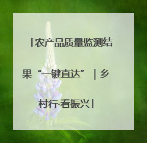 农产品质量监测结果“一键直达”｜乡村行·看振兴