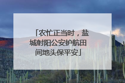 农忙正当时，盐城射阳公安护航田间地头保平安