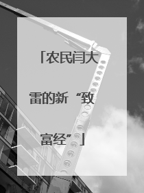 农民闫大雷的新“致富经”
