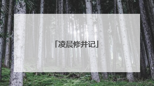 凌晨修井记