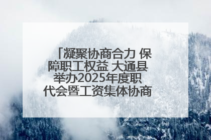 凝聚协商合力 保障职工权益 大通县举办2025年度职代会暨工资集体协商现场观摩交流活动