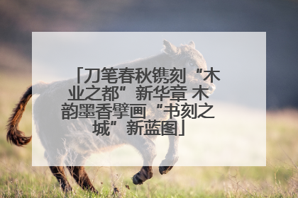 刀笔春秋镌刻“木业之都”新华章 木韵墨香擘画“书刻之城”新蓝图
