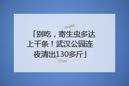 别吃，寄生虫多达上千条！武汉公园连夜清出130多斤