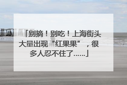别摘！别吃！上海街头大量出现“红果果”，很多人忍不住了……