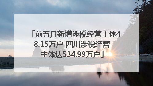 前五月新增涉税经营主体48.15万户 四川涉税经营主体达534.99万户