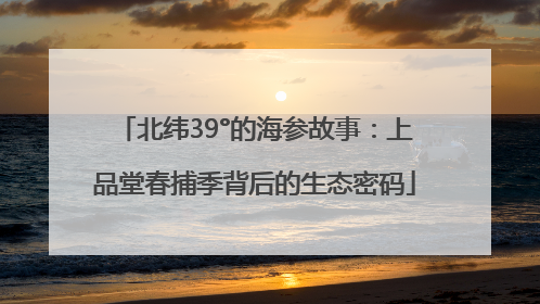 北纬39°的海参故事：上品堂春捕季背后的生态密码