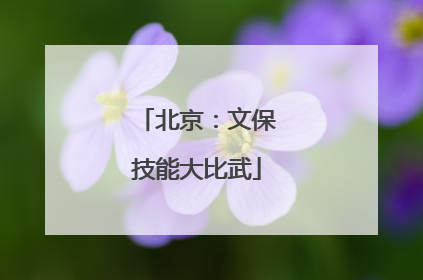 北京：文保技能大比武