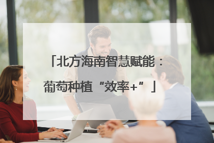 北方海南智慧赋能：葡萄种植“效率+”