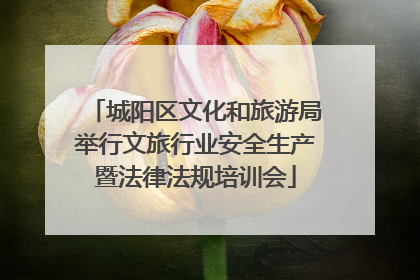 城阳区文化和旅游局举行文旅行业安全生产暨法律法规培训会