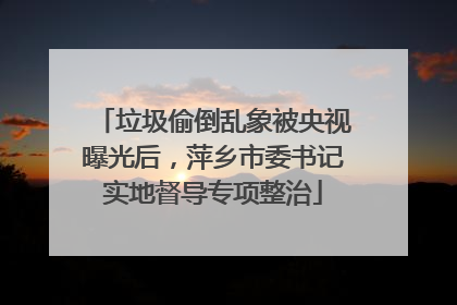 垃圾偷倒乱象被央视曝光后，萍乡市委书记实地督导专项整治