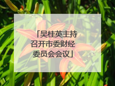 吴桂英主持召开市委财经委员会会议
