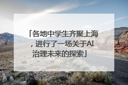 各地中学生齐聚上海，进行了一场关于AI治理未来的探索