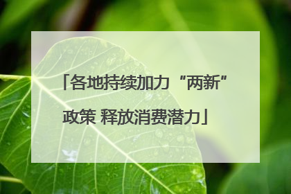 各地持续加力“两新”政策 释放消费潜力