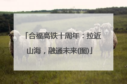 合福高铁十周年：拉近山海，融通未来(图)
