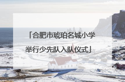 合肥市琥珀名城小学举行少先队入队仪式