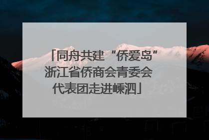 同舟共建“侨爱岛” 浙江省侨商会青委会代表团走进嵊泗