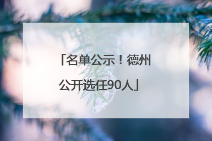 名单公示！德州公开选任90人