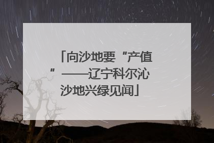 向沙地要“产值”——辽宁科尔沁沙地兴绿见闻