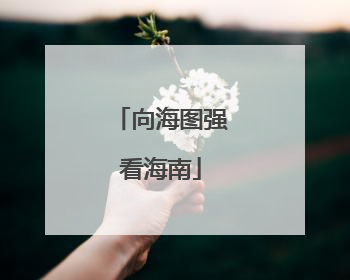 向海图强看海南