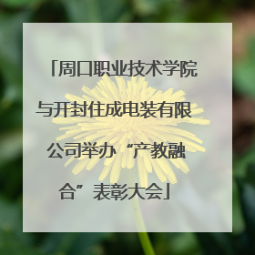 周口职业技术学院与开封住成电装有限 公司举办“产教融合”表彰大会