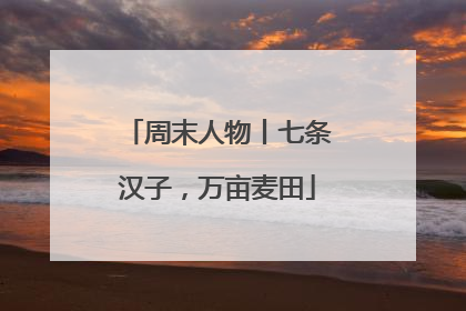 周末人物丨七条汉子，万亩麦田