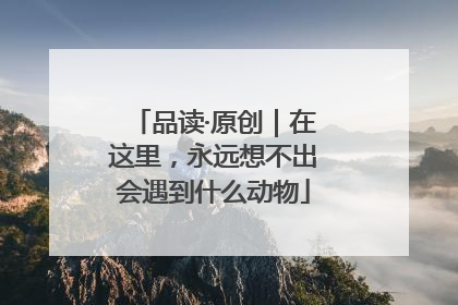 品读·原创｜在这里，永远想不出会遇到什么动物