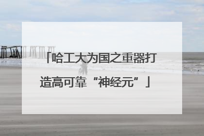 哈工大为国之重器打造高可靠“神经元”