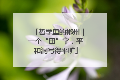 哲学里的郴州｜一个“田”字，平和洞写得平旷