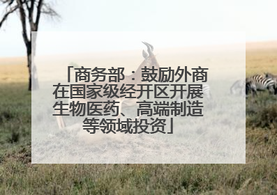 商务部：鼓励外商在国家级经开区开展生物医药、高端制造等领域投资