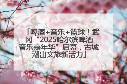 啤酒+音乐+篮球！武冈“2025哈尔滨啤酒音乐嘉年华”启幕，古城潮出文旅新活力