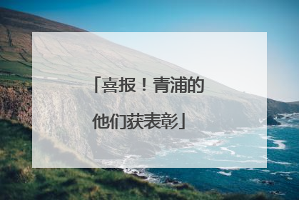喜报!青浦的他们获表彰
