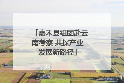 嘉禾县组团赴云南考察 共探产业发展新路径