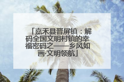 嘉禾县晋屏镇：解码全国文明村镇的幸福密码之——乡风如画·文明领航
