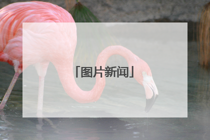 图片新闻
