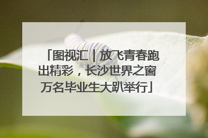 图视汇｜放飞青春跑出精彩，长沙世界之窗万名毕业生大趴举行