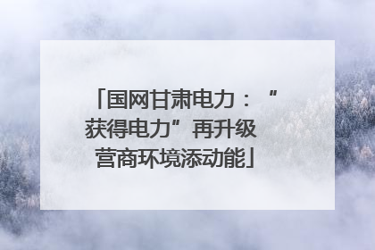 国网甘肃电力：“获得电力”再升级 营商环境添动能