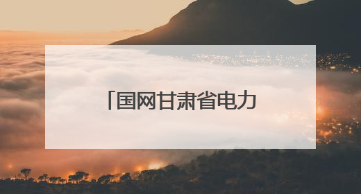 国网甘肃省电力公司：粽香迎端午 保电护安康