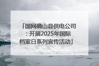 国网确山县供电公司：开展2025年国际档案日系列宣传活动