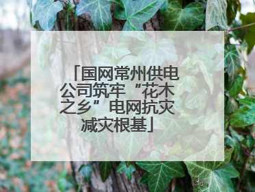 国网常州供电公司筑牢“花木之乡”电网抗灾减灾根基