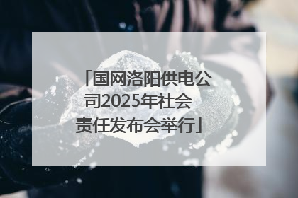 国网洛阳供电公司2025年社会责任发布会举行