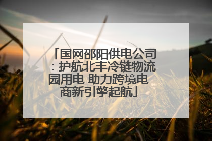 国网邵阳供电公司：护航北丰冷链物流园用电 助力跨境电商新引擎起航